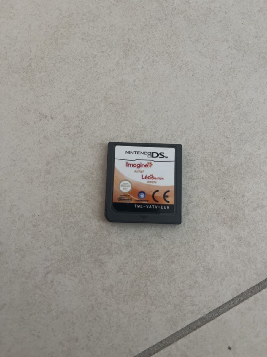 Nintendo ds imagine artist