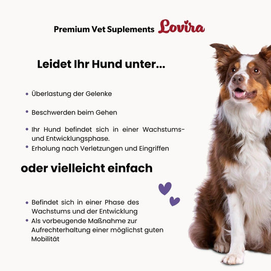 Lovira Gelenk Leckerlis Hund Glucosamin MSM – 180 g – Bild 2