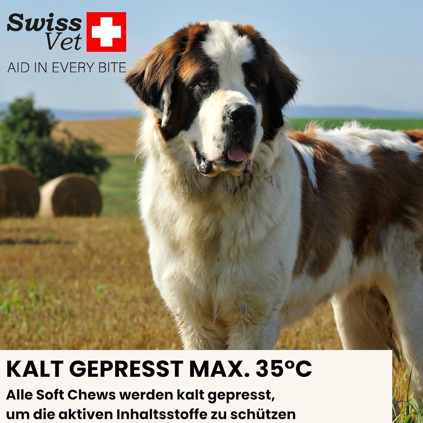 Multivitamin Hund 8in1 Kautabletten 120 Stk – Bild 8