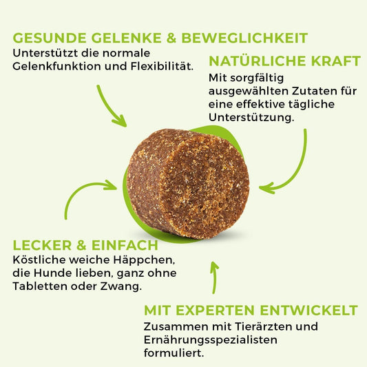 Gelenktabletten Hund Grünlippmuschel 60 Stk – Bild 2