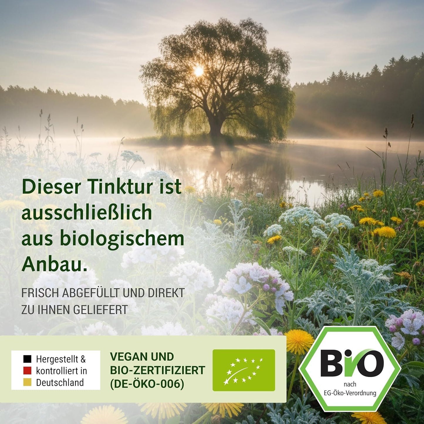 Bio Baldrian Tinktur 50 ml – Reines Extrakt, vegan – Bild 4
