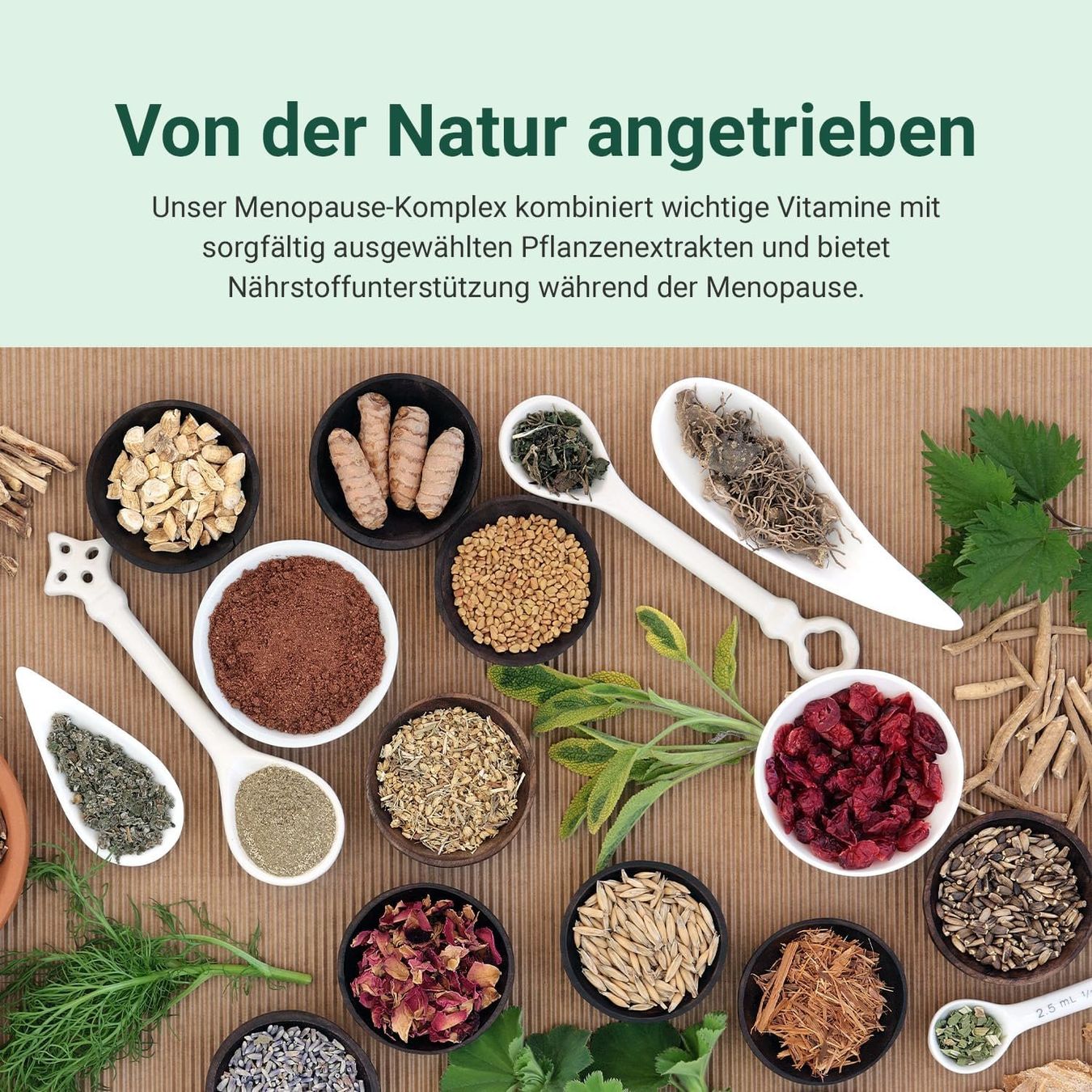 Theonia Menopause Komplex B6 Magnesium Zink 60 Kapseln