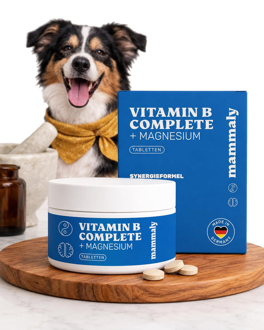 ivvi Cardio Hundesnacks Produktbild