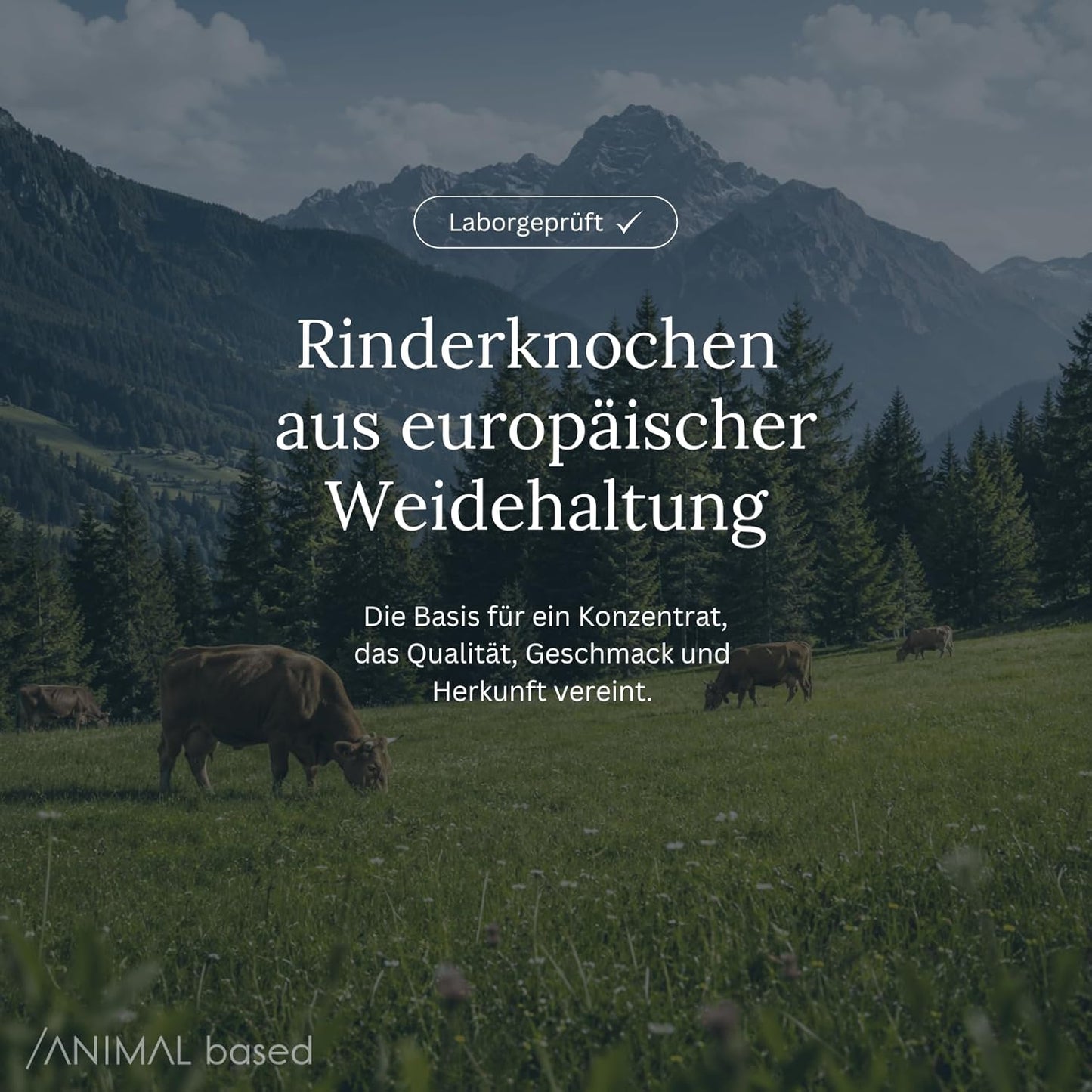 Animal Based Knochenbrühe Konzentrat 220g
