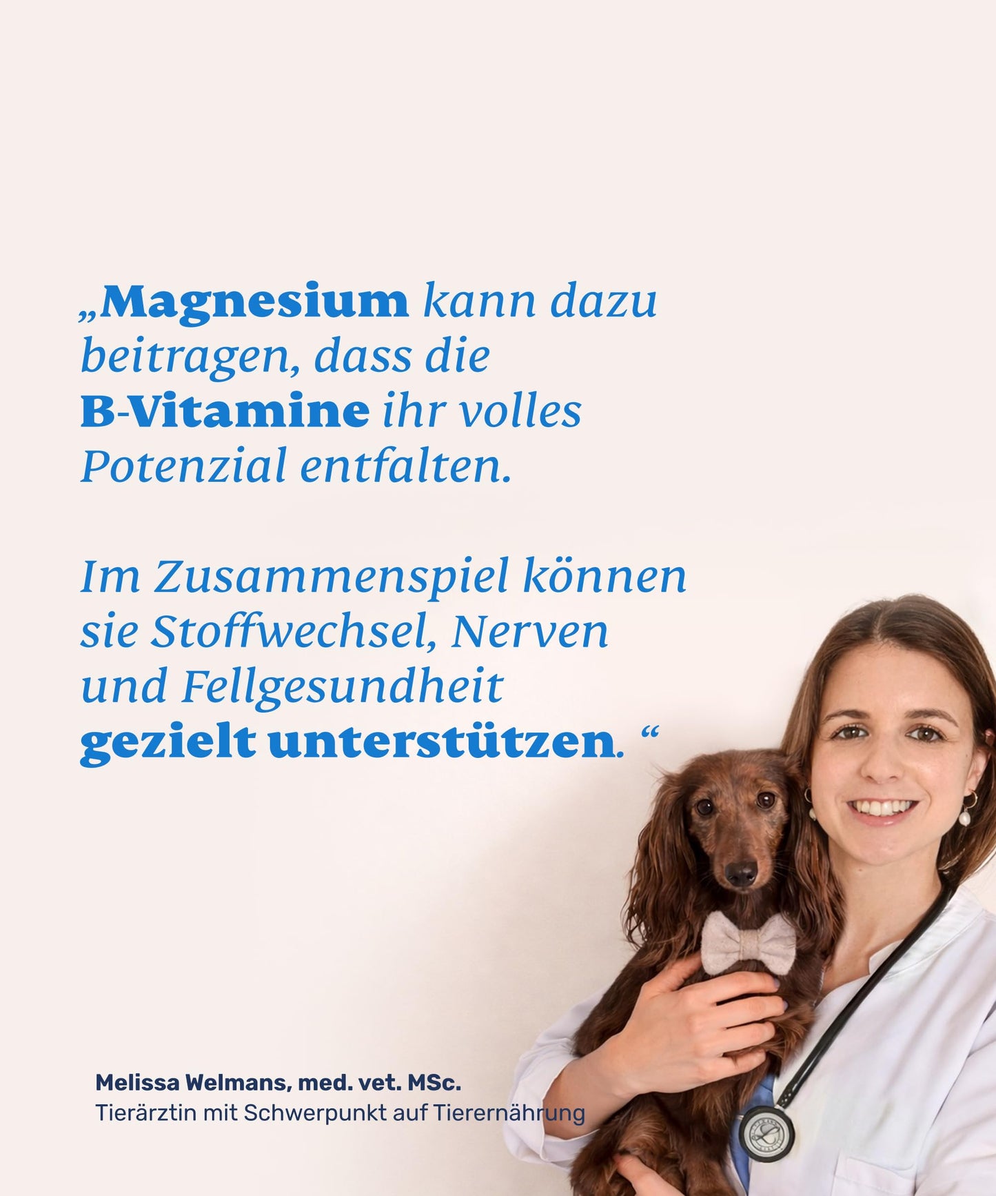 ivvi Cardio Hundesnacks Anwendung