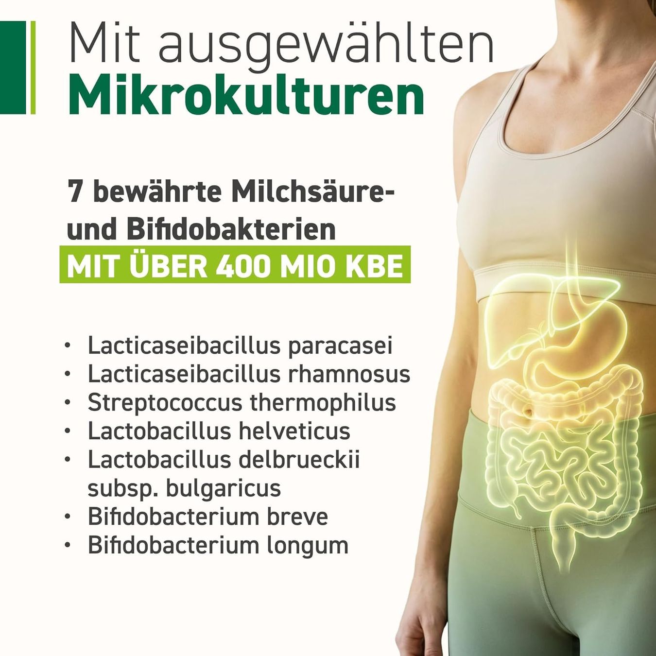 Leber Komplex Probiotika Mariendistel 30 Sachets