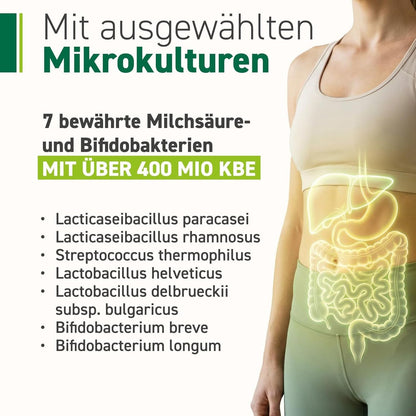 Leber Komplex Probiotika Mariendistel 30 Sachets