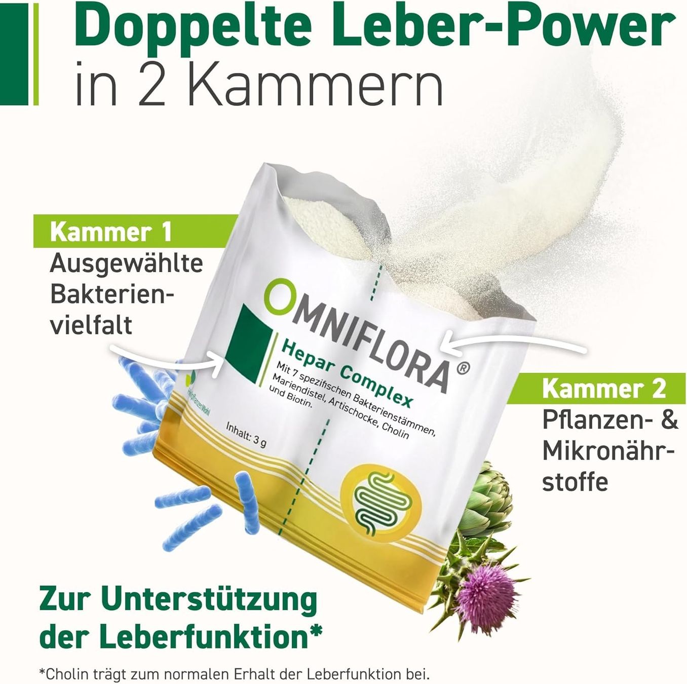 Leber Komplex Probiotika Mariendistel 30 Sachets