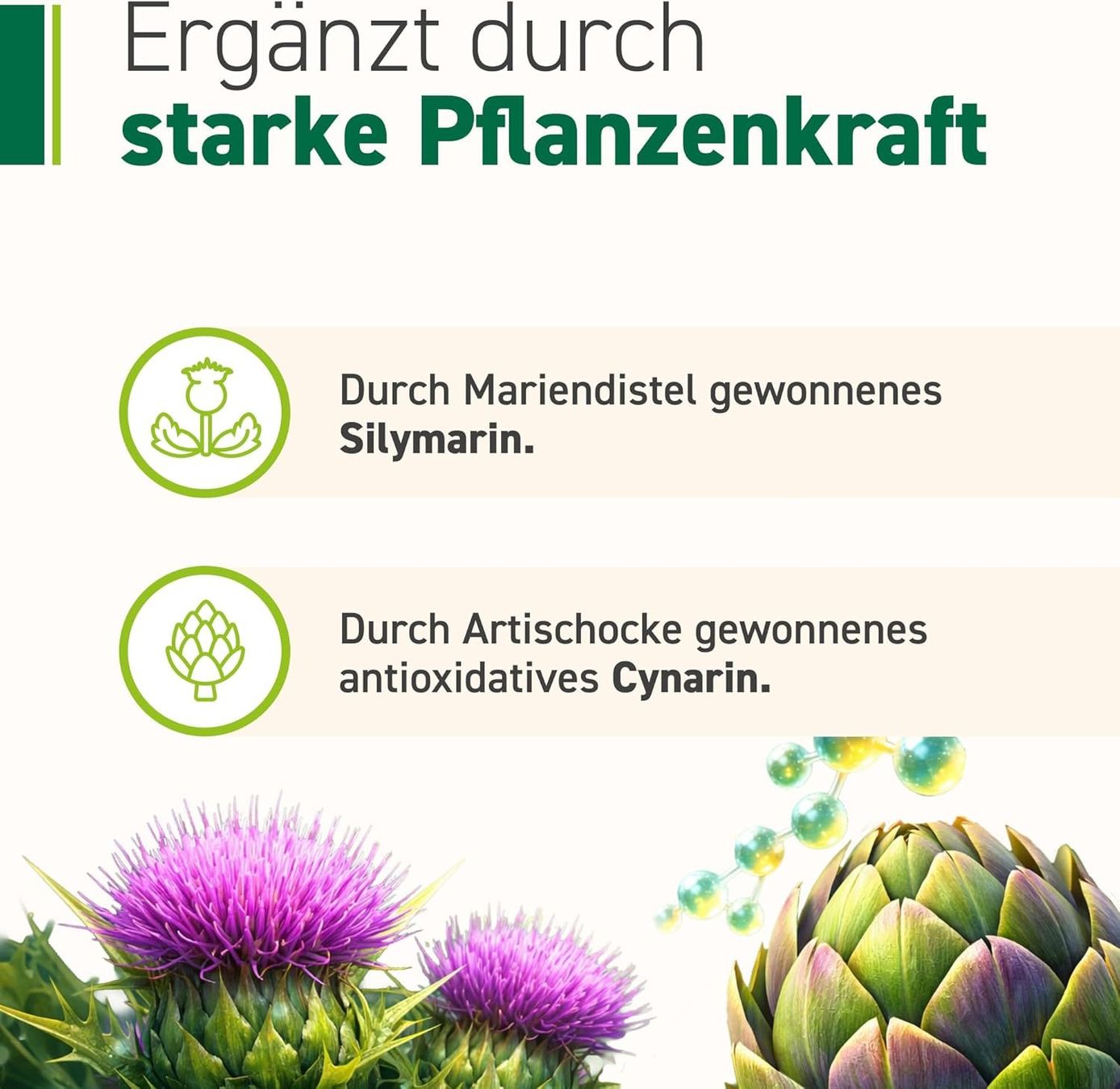 Leber Komplex Probiotika Mariendistel 30 Sachets