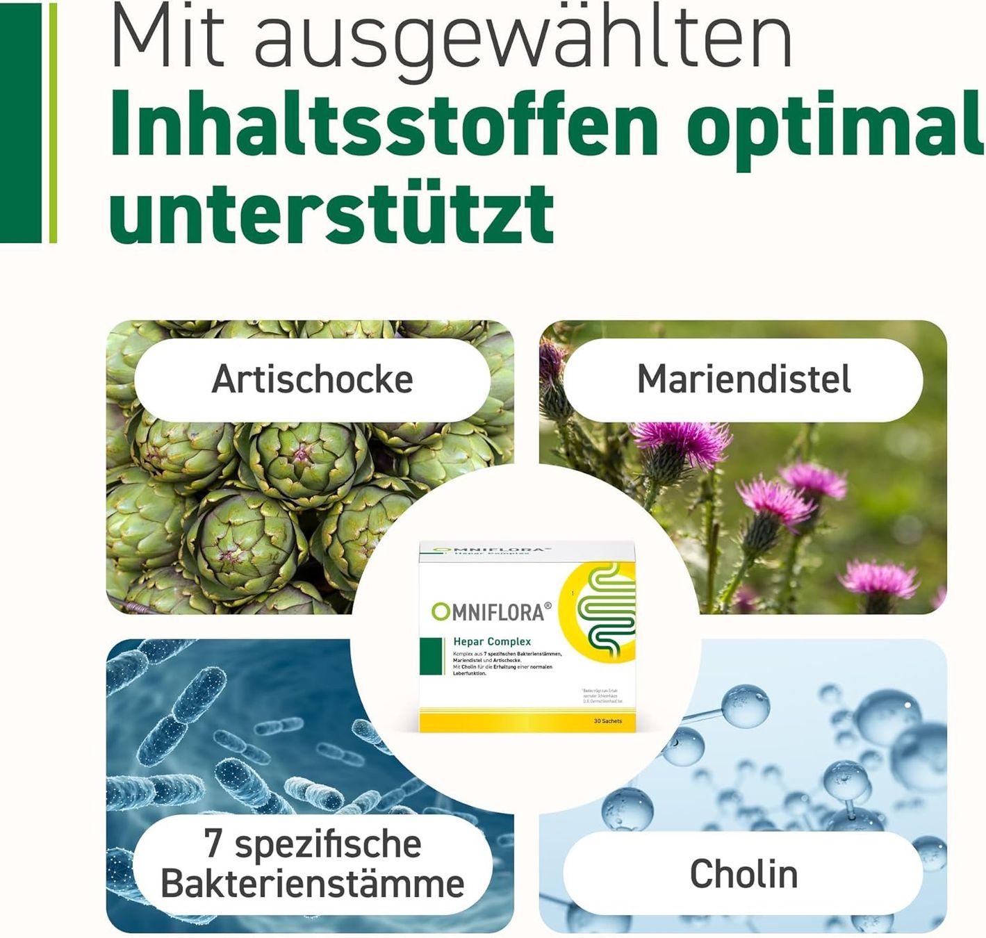 Leber Komplex Probiotika Mariendistel 30 Sachets