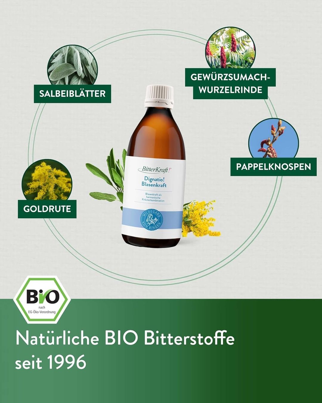 BitterKraft Blasenkraft Kräutertropfen 200 ml Vegan