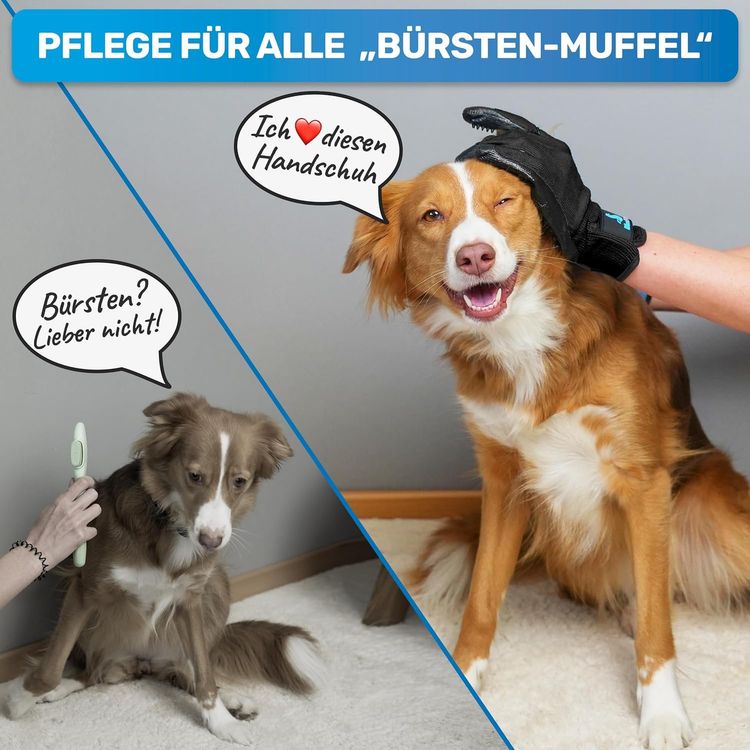 BluePet Fellpflegehandschuh Hund Katze Pferd