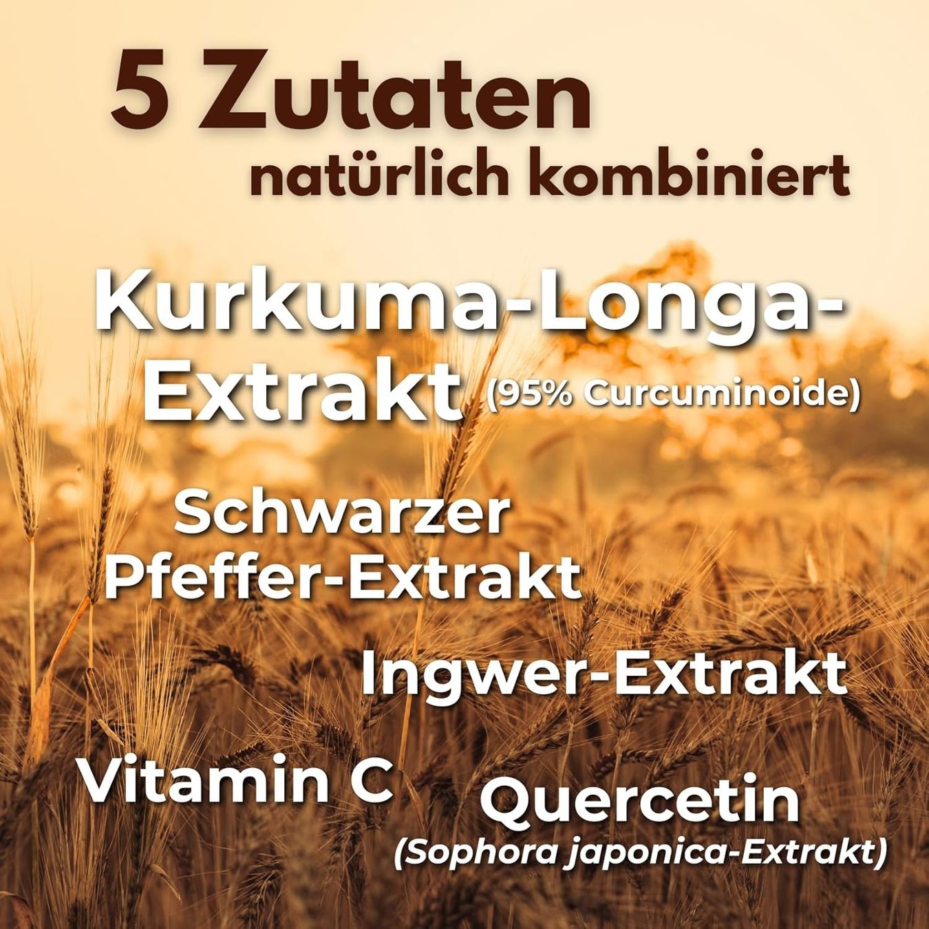 Curcumin Kapseln 95 % – 120 Stk – vegan & magensaftresistent