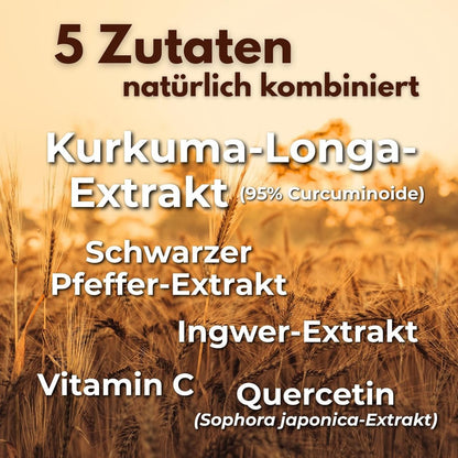 Curcumin Kapseln 95 % – 120 Stk – vegan & magensaftresistent