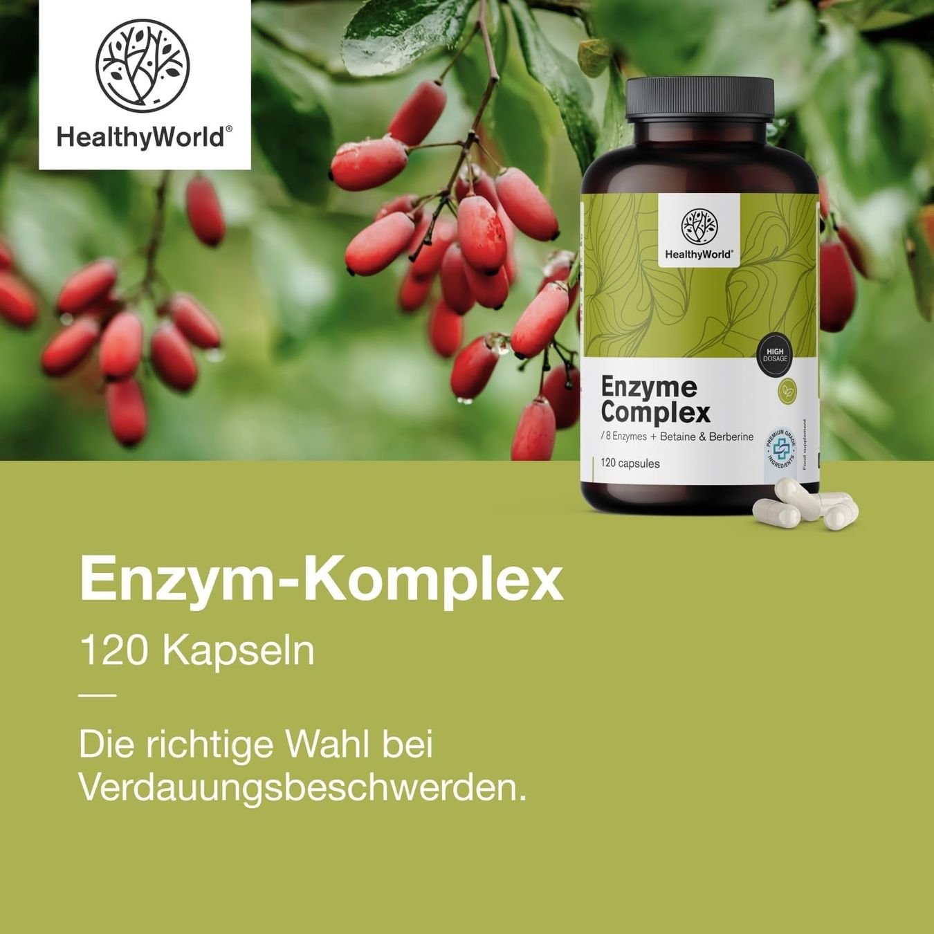 Enzym Komplex 120 Kapseln – 8 Enzyme mit Berberin
