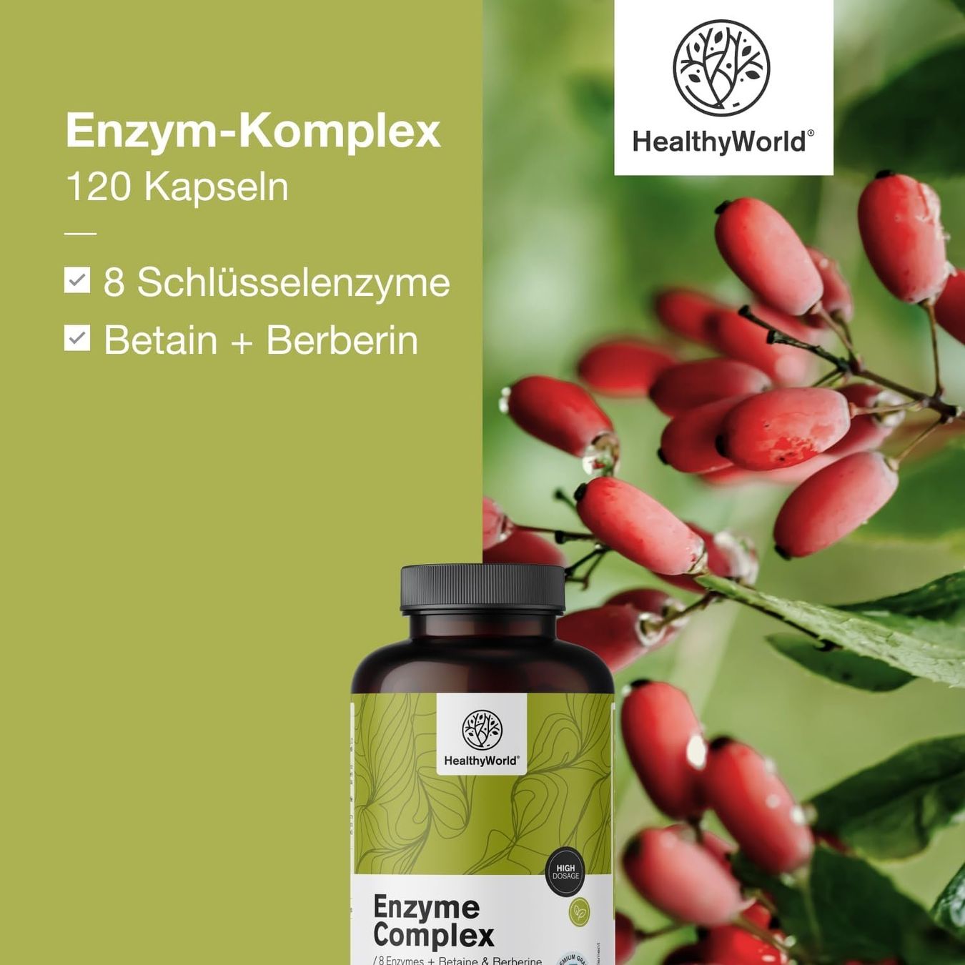Enzym Komplex 120 Kapseln – 8 Enzyme mit Berberin