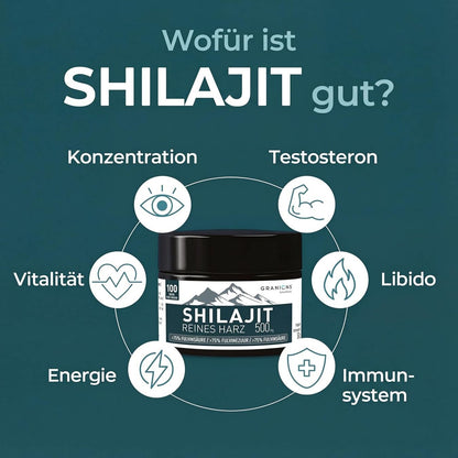 GRANIONS Himalaya Shilajit Resin 75 % Fulvinsäure