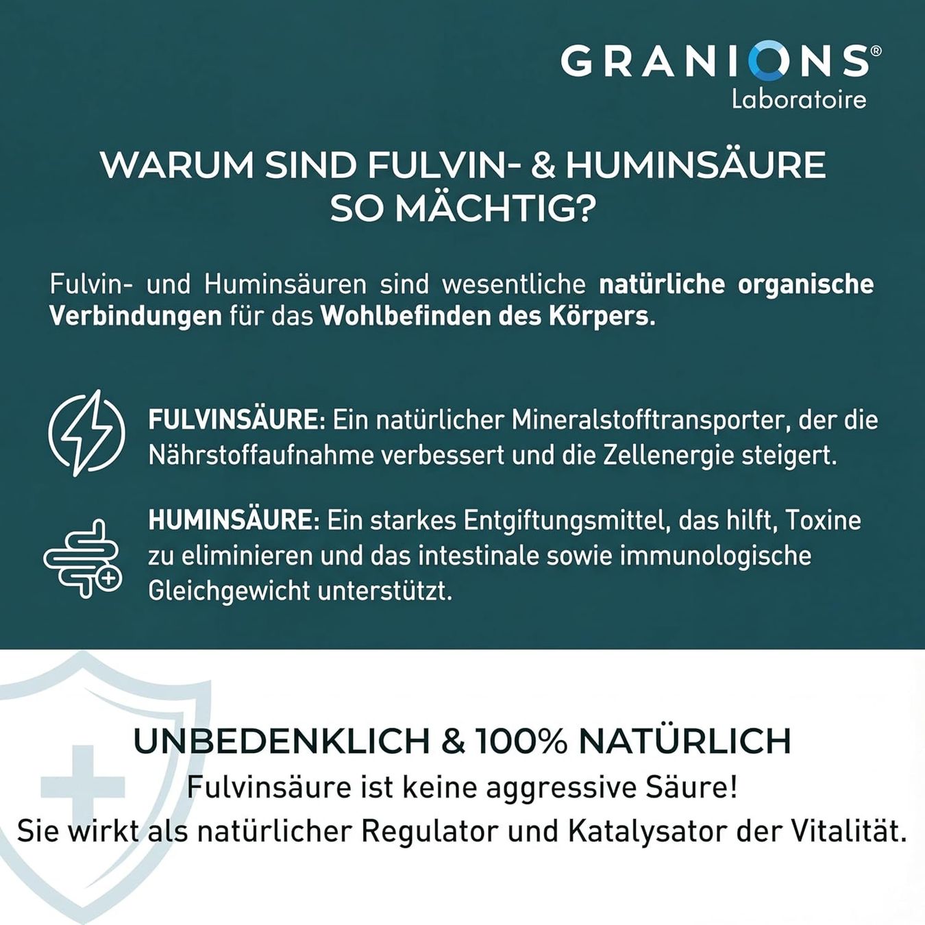 GRANIONS Himalaya Shilajit Resin 75 % Fulvinsäure