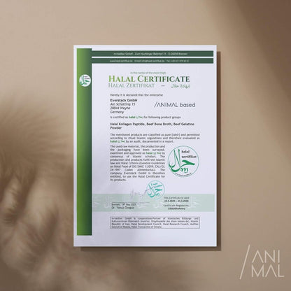 Halal Kollagen Pulver 200g Typ 1 und 3