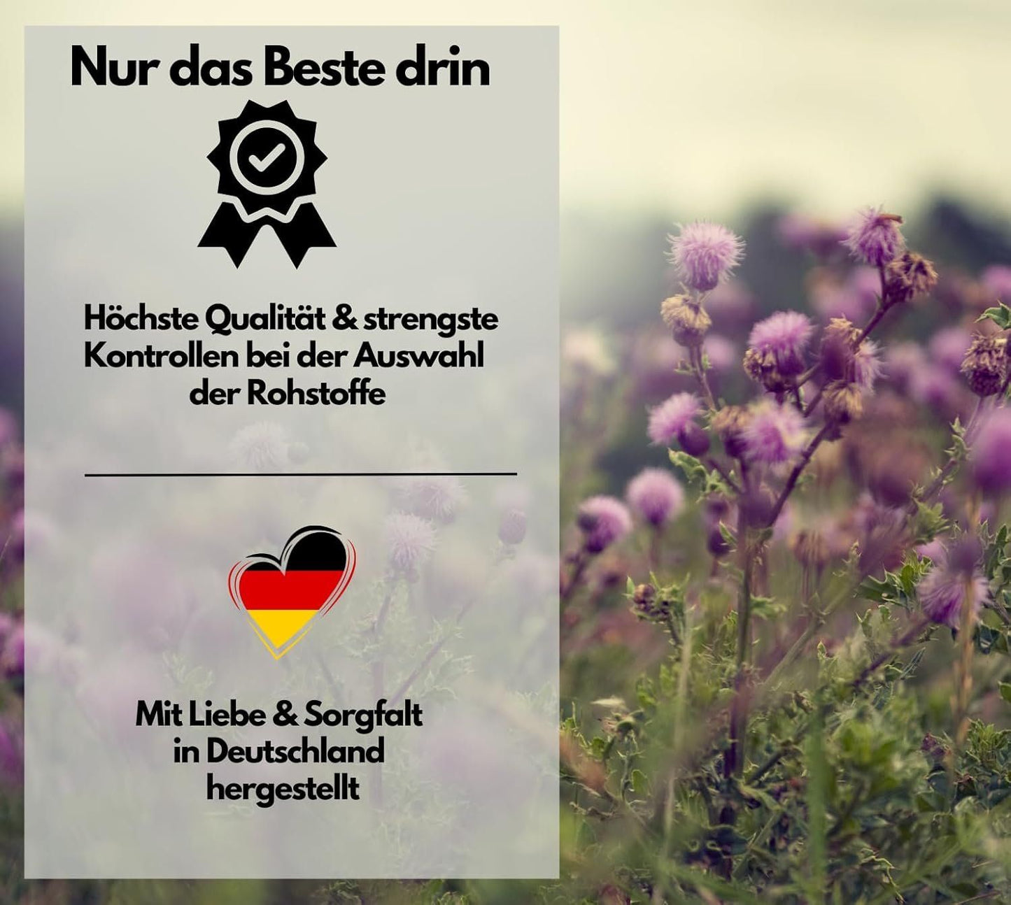 Mariendistel Komplex 250 mg – mit Artischocke & Löwenzahn