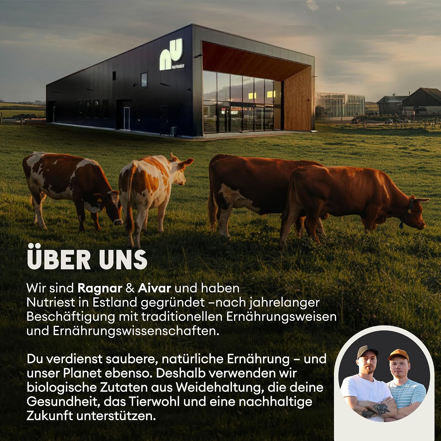 Nutriest Produktbild 7