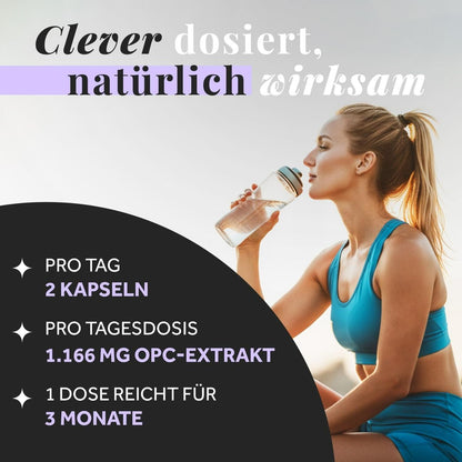 OPC Traubenkernextrakt 240 Kapseln vegan
