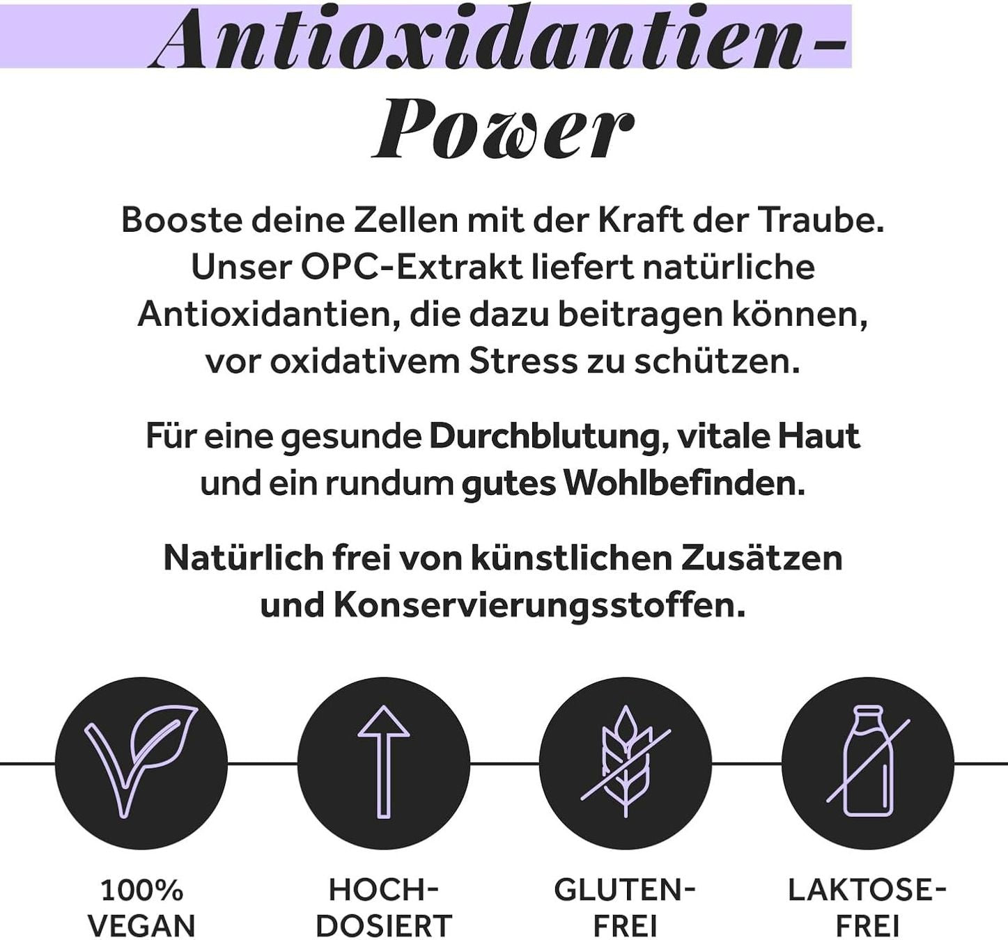OPC Traubenkernextrakt 240 Kapseln vegan