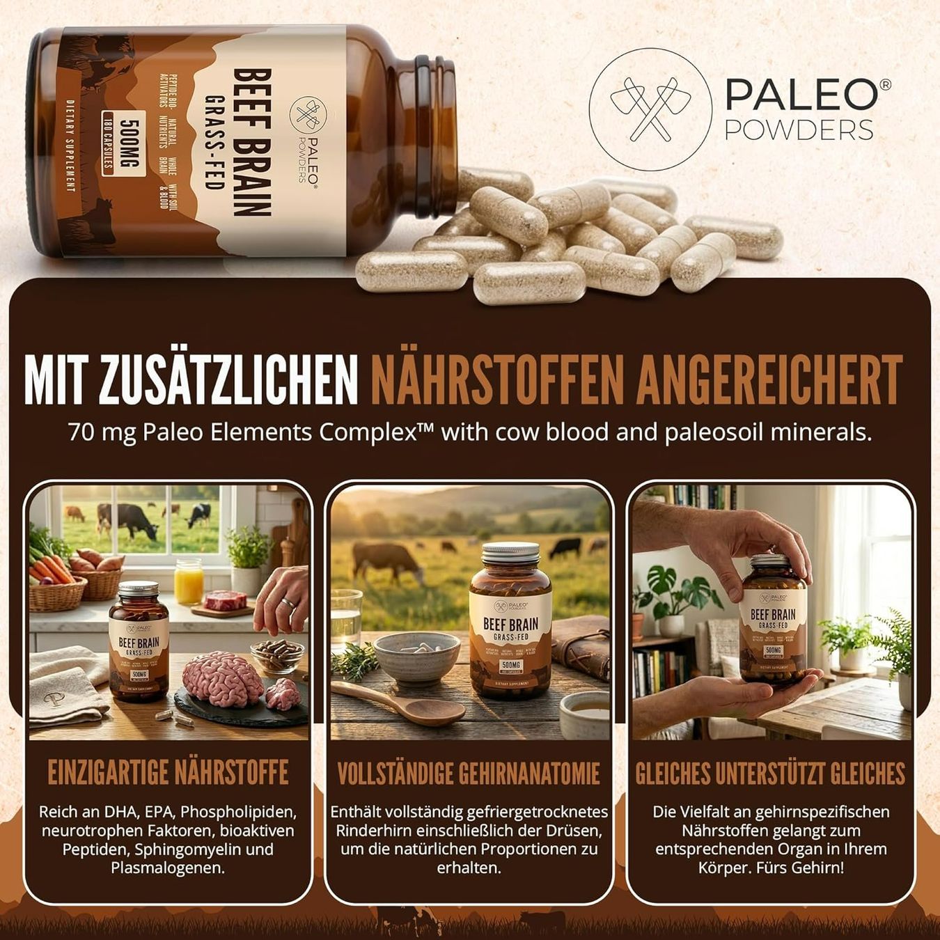 Paleo Powders Rinderhirn Kapseln gefriergetrocknet