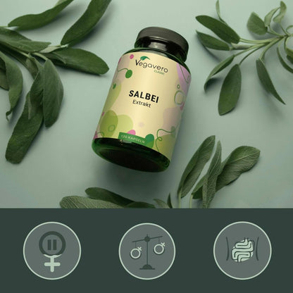 Salbei Kapseln 120 Stück vegan hochdosiert
