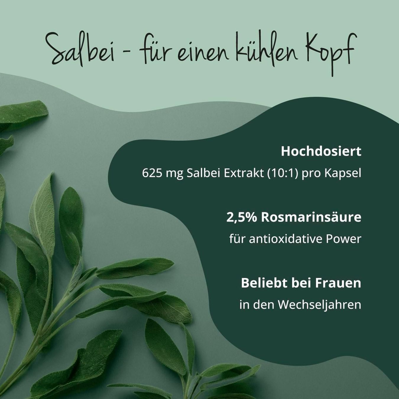 Salbei Kapseln 120 Stück vegan hochdosiert