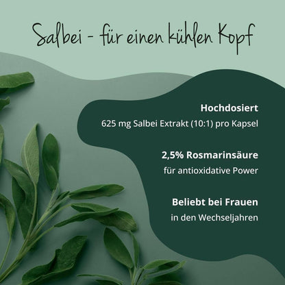 Salbei Kapseln 120 Stück vegan hochdosiert