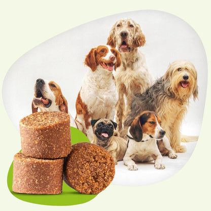 Gelenktabletten Hund Grünlippmuschel 60 Stk – Bild 7
