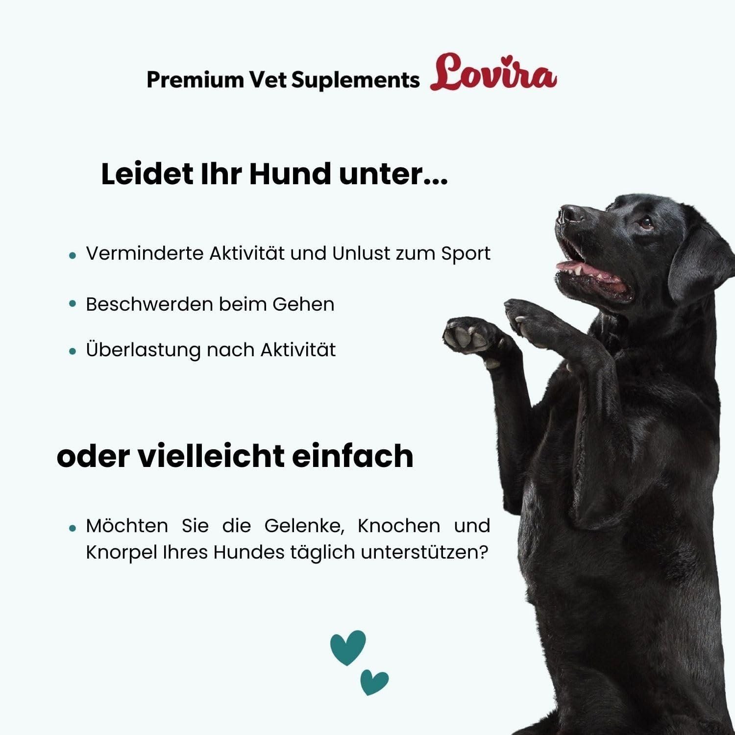 Lovira Gelenk Leckerlis Hund Hyaluron Glucosamin – 180 g – Bild 2
