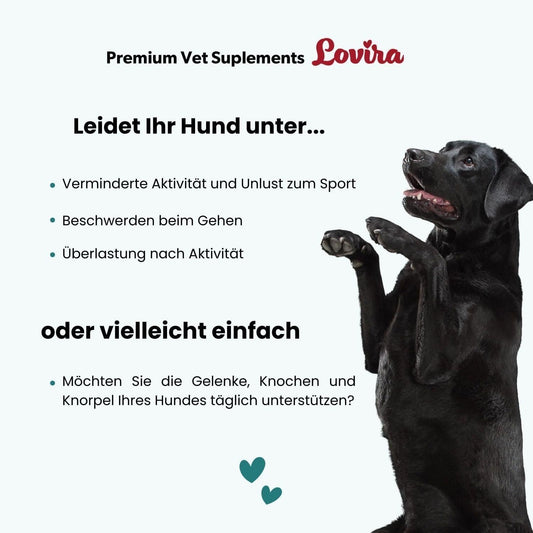 Lovira Gelenk Leckerlis Hund Hyaluron Glucosamin – 180 g – Bild 2