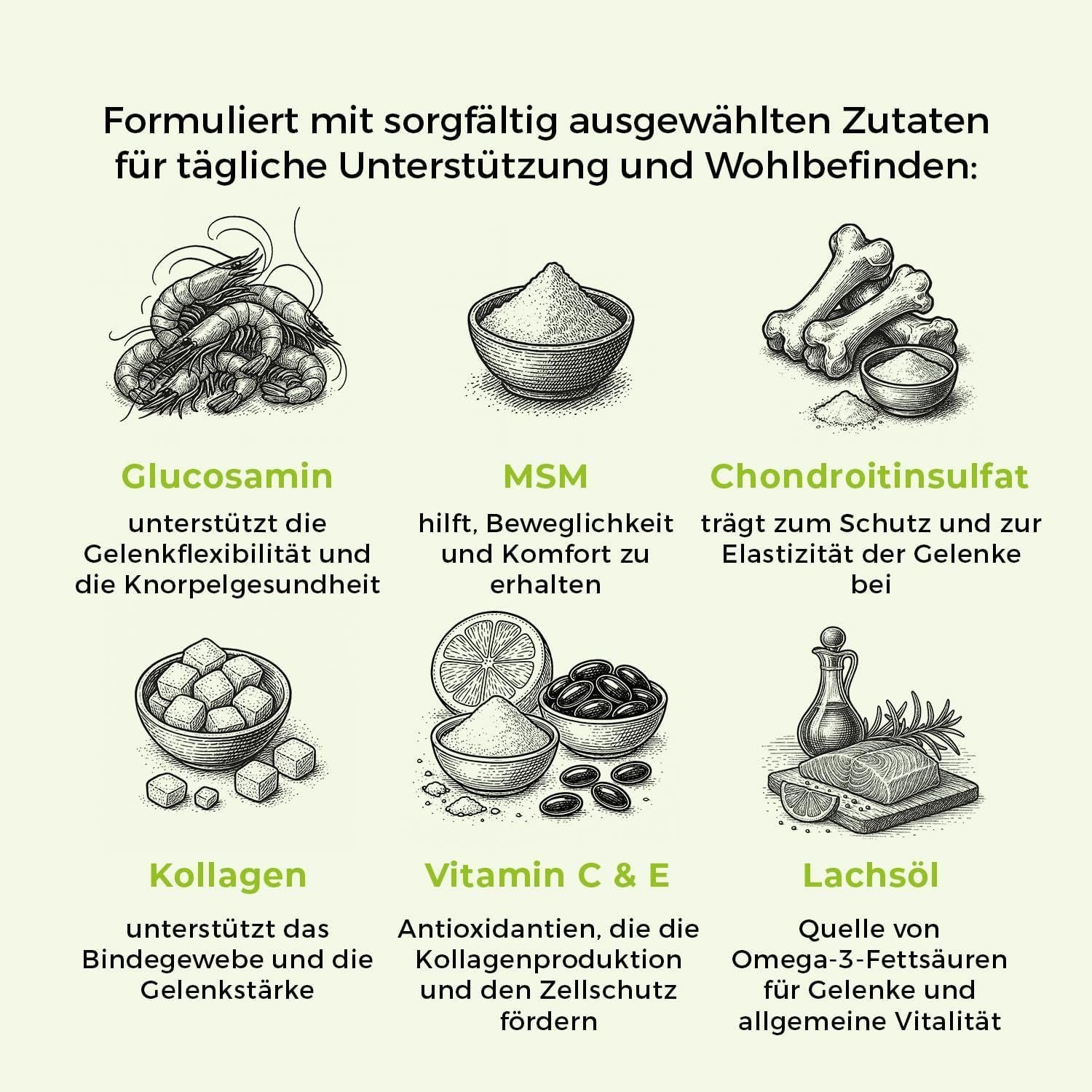 Gelenktabletten Hund Grünlippmuschel 60 Stk – Bild 3