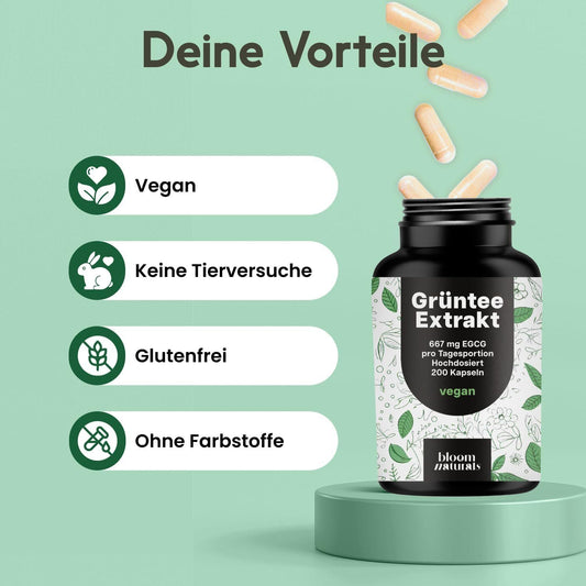 Grüntee Extrakt Kapseln 667 mg EGCG – 200 Stück vegan – Bild 2