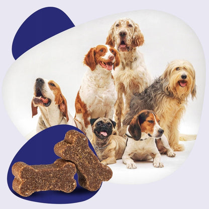 Multivitamin Hund 8in1 Kautabletten 120 Stk – Bild 7