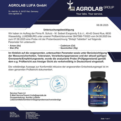 vit4ever Shilajit Kapseln 180 Stück vegan – Bild 8