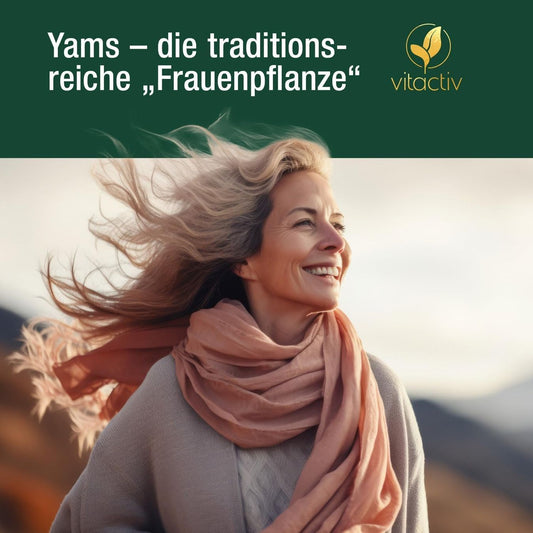 VITACTIV Wild Yam Yamswurzel Extrakt Produktbild 1