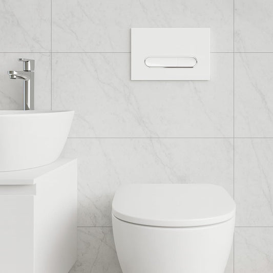 WC Drückerplatte Weiss Geberit kompatibel
